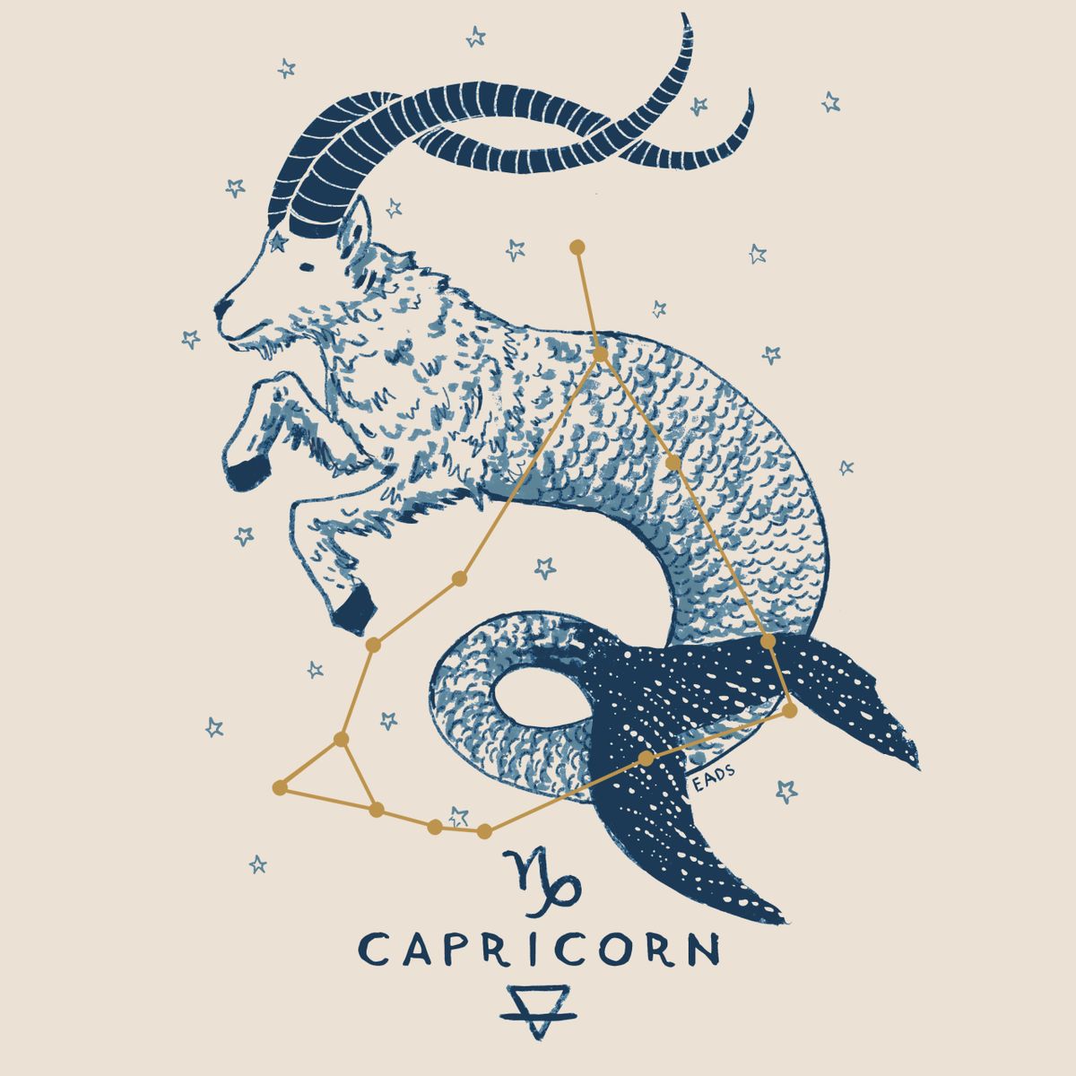 Signo Capricórnio